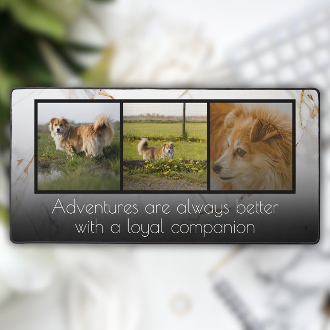 Collage photo moderne 3 (Créateur téléchargé)