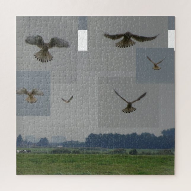 Collage Puzzle: Eemnes Polder BIRD OF PREY (Vertikal)
