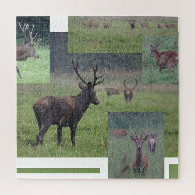 Collage Puzzle: Naturpark Lelystad RED DEER (Vertikal)