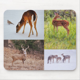 Collage von Wildtieren in Texas Saisonaler Mauspad