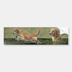 Collagen-Autoaufkleber des goldenen Retrievers Autoaufkleber