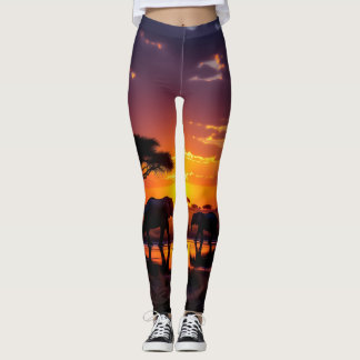 Collants de majesté du coucher de soleil africain