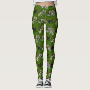 Collants Prairie aux Agneaux (Vert)