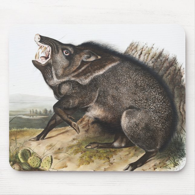 Collared Peccary Dycoteles torquatus Illustration Mousepad (Vorne)