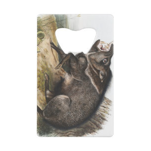 Collared Peccary Pig Camping Deco Gifts Geldbeutel Flaschenöffner
