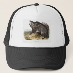 Collared Peccary Pig Camping Deko Geschenke Truckerkappe