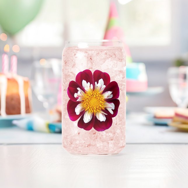 Collarette Rouge Dahlia Bloom (Insitu (Anniversaire))