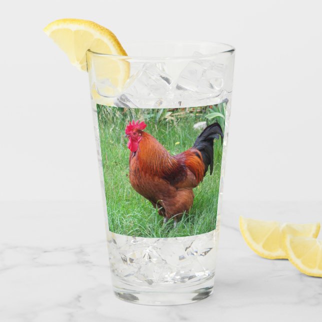Collecteurs de verre de coq rouge (Devant glace)