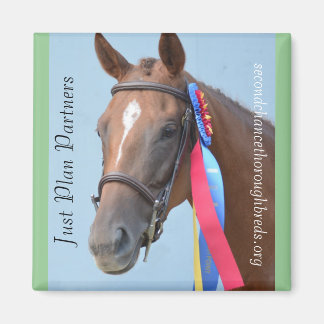 Collectiable Magnet Series - Just Plan Partners