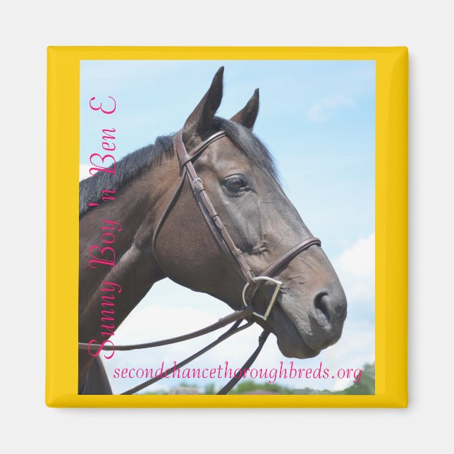 Collectible Magnet Series - Sunny Boy 'n Ben E (Vorne)