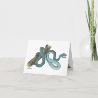 Collection Austrailian snake Note Card Karte