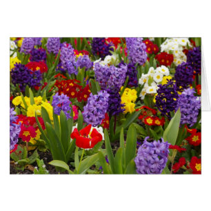 Collection d'arc-en-ciel