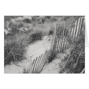 Collection de "barrière et de dunes"