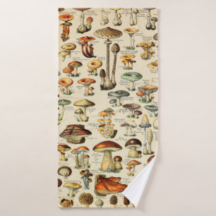 Collection de champignons