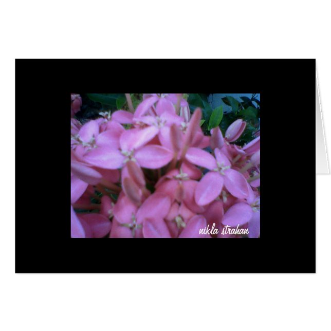 *COLLECTION DE FLEURS*   carte de note (Devant Horizontal)