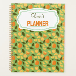 Collection de Motifs de paniers de fruits - Orange