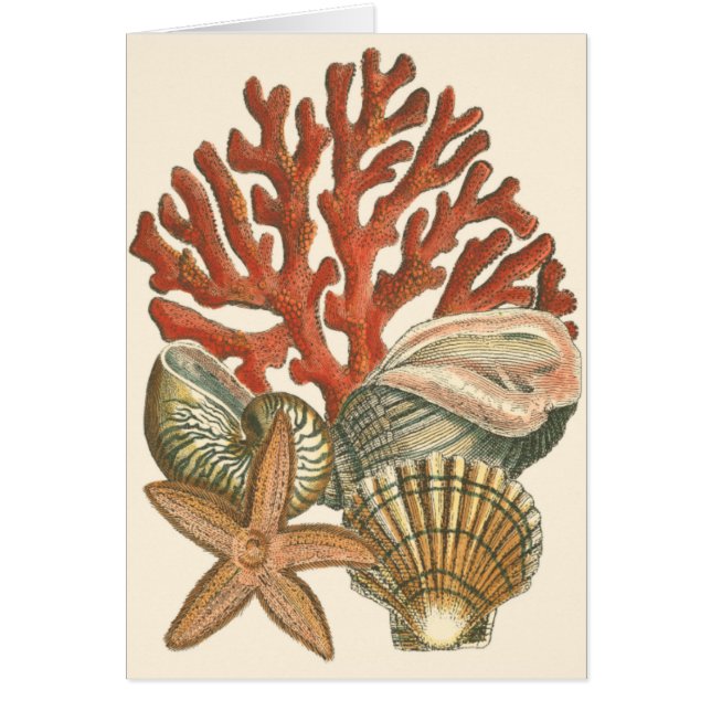 Collection de vies marines (Devant)