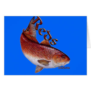 Collection d'eau de mer de poissons