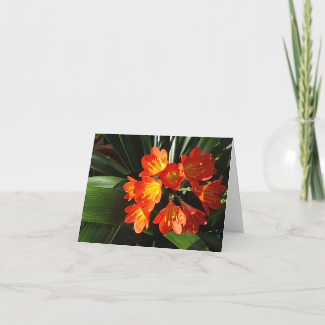 Collection florale de carte pour notes de la (Devant)