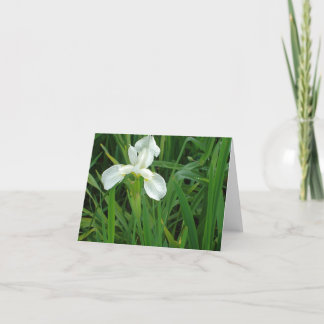 Collection florale de carte pour notes d'iris