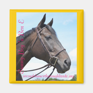 Collection Magnet Series - Sunny Boy 'n Ben E