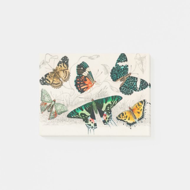 Collection of Various Butterflies Post-it Klebezettel (Vorderseite)
