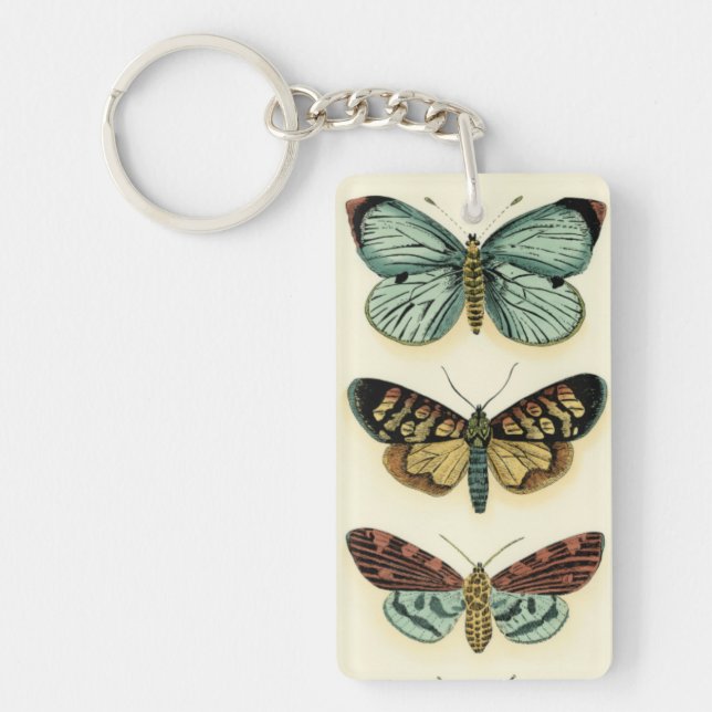 Collection Papillons par Chariklia Zarris (Devant)