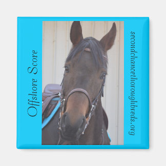 Collectious Magnet Series - Offshore Score