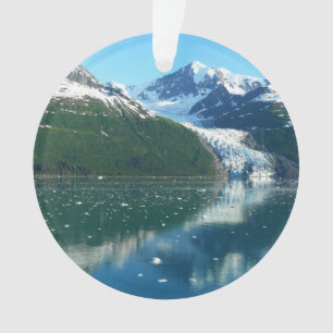 College Fjord I Schöne Alaska-Fotografie Ornament