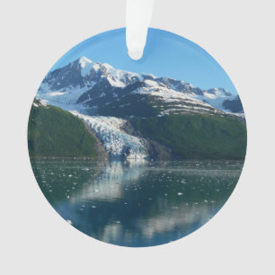 College Fjord II Schöne Alaska-Fotografie Ornament
