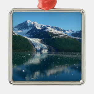 College Fjord II Schöne Alaska-Fotografie Silbernes Ornament