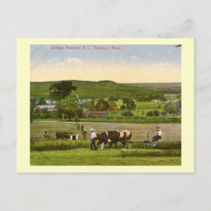 College Meadow, Amherst Massachusetts 1912 Vintage Postkarte