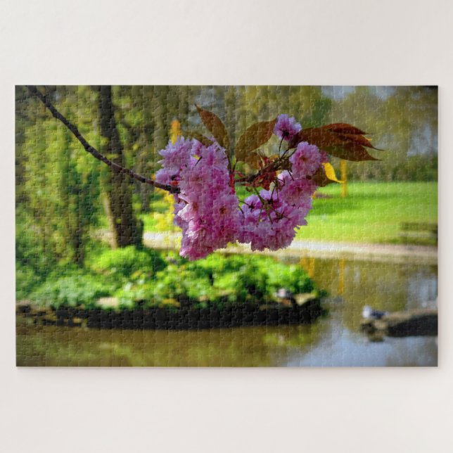 Colletts Cherry.  (Horizontal)
