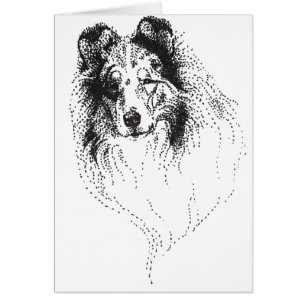 Colley bleu rugueux de Merle