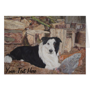 collie à la frontière dans un hangar à bois avec p