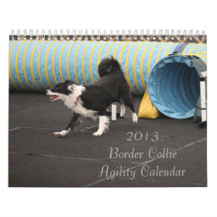 Collie-Agility-Kalender der Grenze2013 Kalender