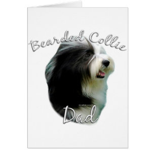 Collie barrée papa 2