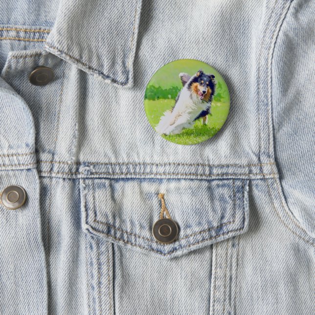 Collie Button (Beispiel)