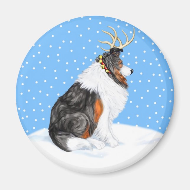 Collie Christmas Reindeer Tri Magnet (Vorne)