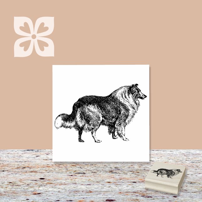 Collie Dog Breed Gummistempel (Von Creator hochgeladen)