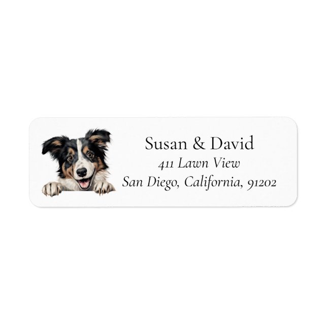 Collie Dog Breed Pet Lovers (Vorne)