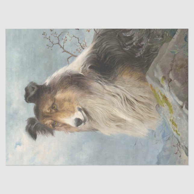 Collie Dog Decoupage Decoupaging Seidenpapier (Vorderseite)