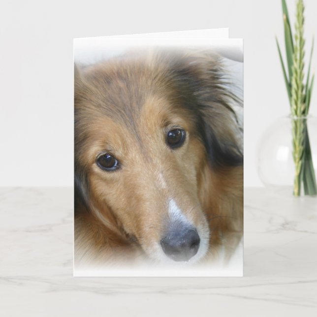 Collie Dog Grußkarte Karte (Vorderseite)