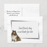 Collie Dog Pet Beileid Loss