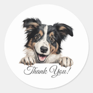 Collie Dog Vielen Dank Runder Aufkleber