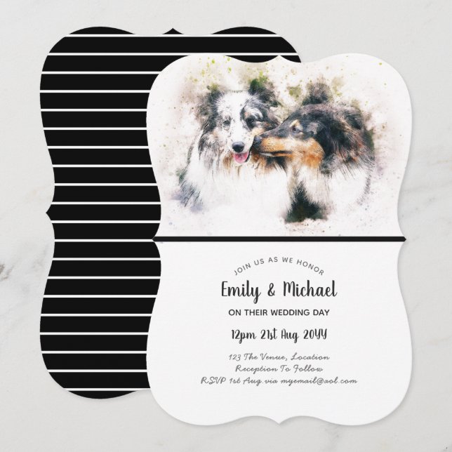 Collie Dogs Hochzeit Einladungen Elegantes Ambient (Vorne/Hinten)