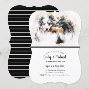 Collie Dogs Hochzeit Einladungen Elegantes Ambient