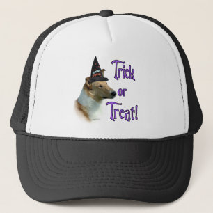 Collie (Einmal, glatt) Trick Truckerkappe
