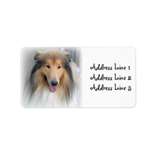 Collie Foto Address Label Adressaufkleber