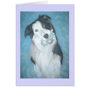 collie frontière mignonne avec chien en peluche pe